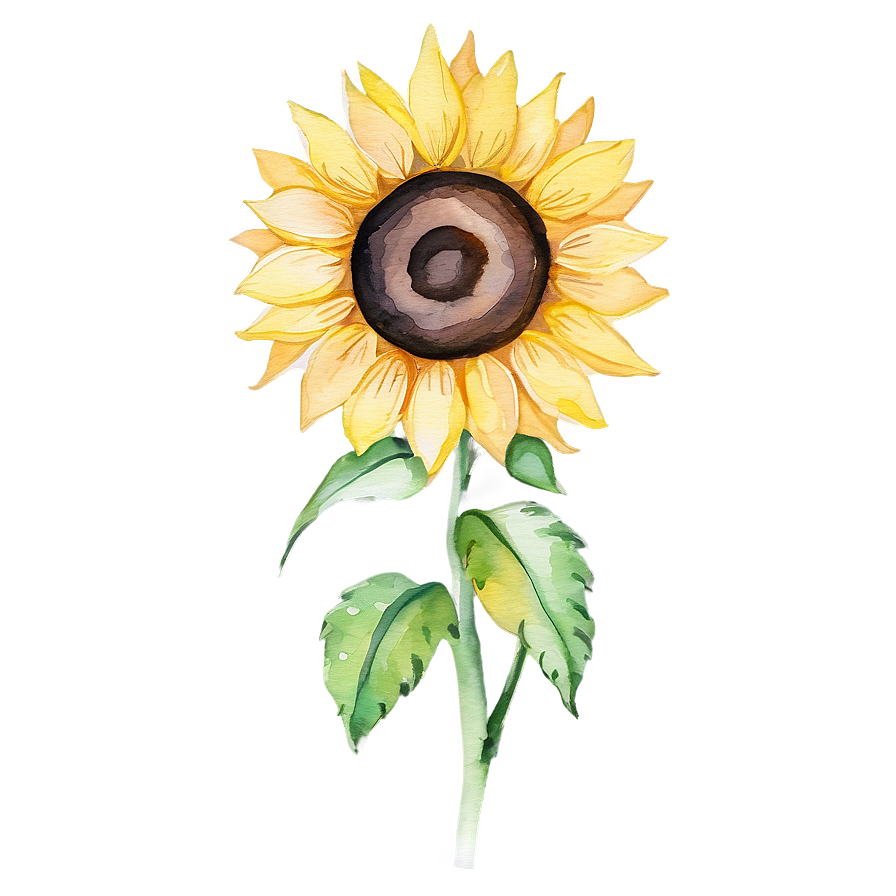 Sunflower Watercolor Greeting Card Design Png Adc59