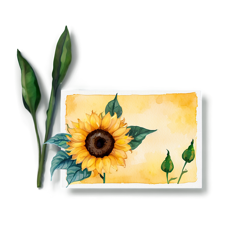 Sunflower Watercolor Greeting Card Design Png Pih64