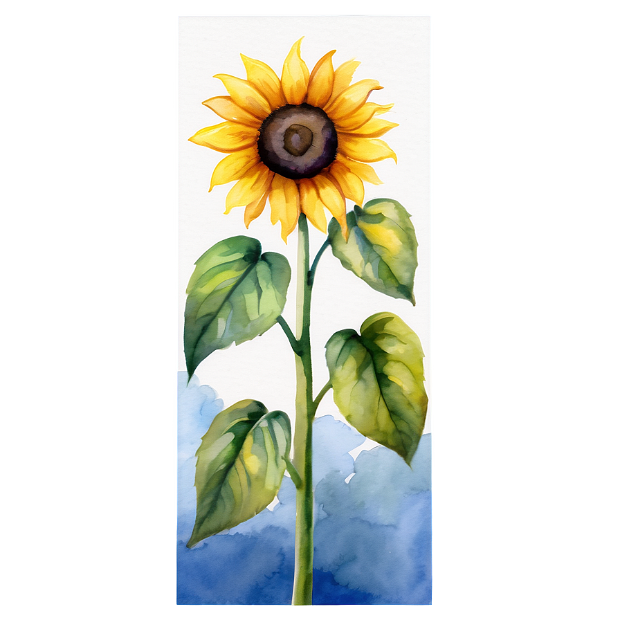 Sunflower Watercolor On Canvas Png 55