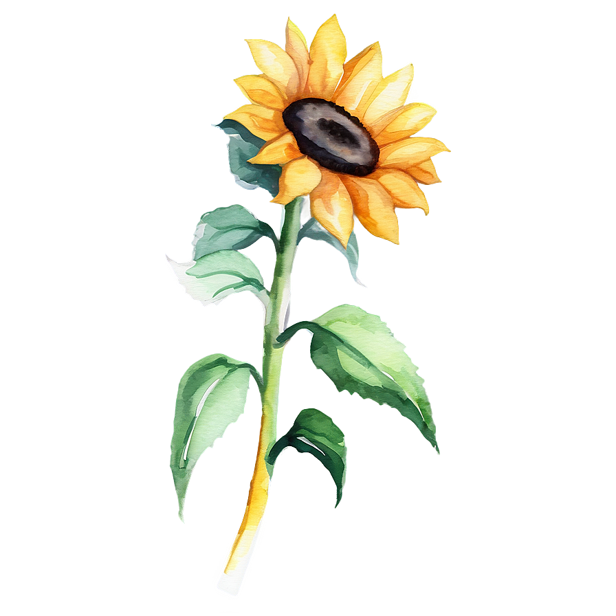 Sunflower Watercolor Planner Decoration Png Oto