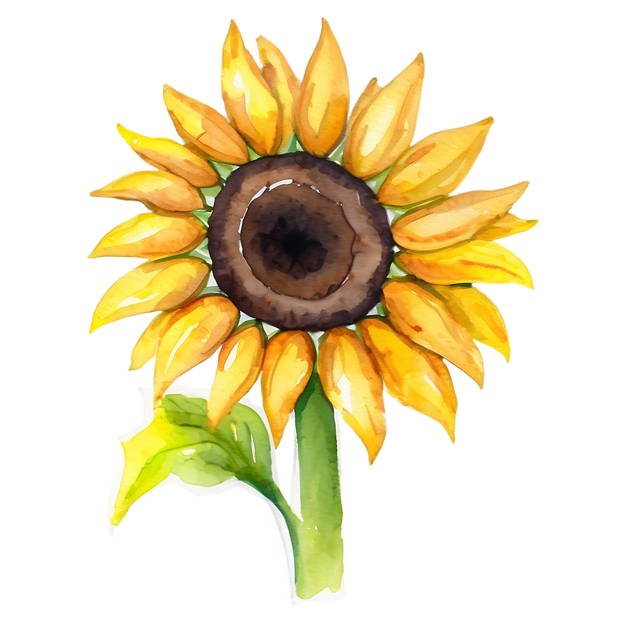 Sunflower Watercolor Profile Picture Png 06272024