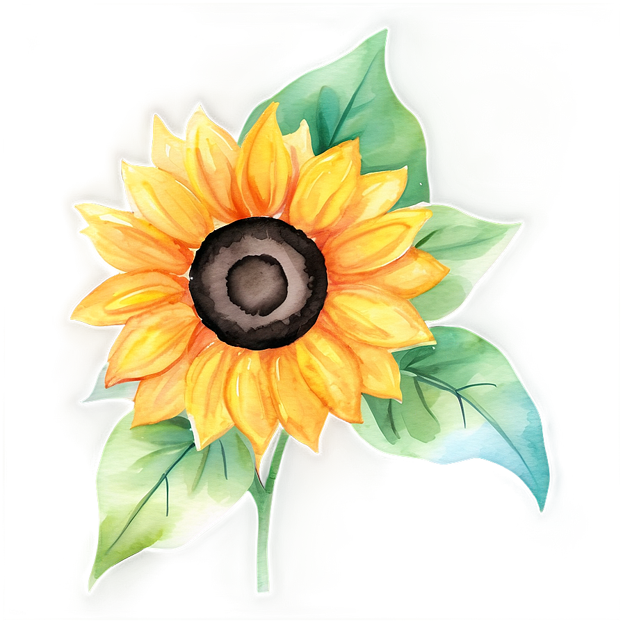 Sunflower Watercolor Stationery Design Png 28