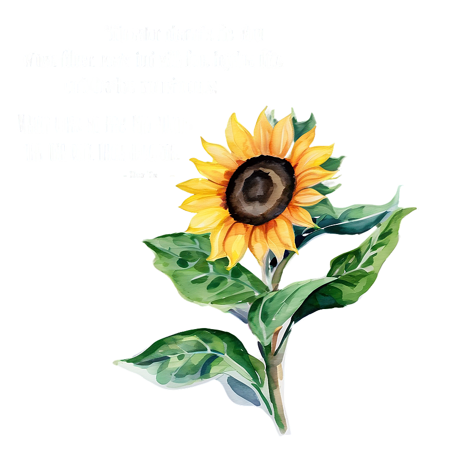 Sunflower Watercolor With Quotes Png Bys