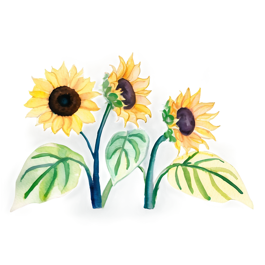 Sunflower Watercolor Youtube Thumbnail Png 06272024