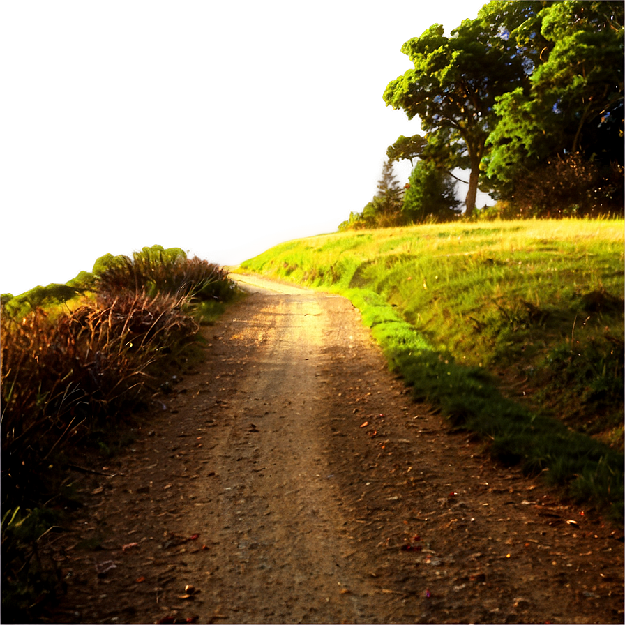 Sunlit Countryside Path Png 32