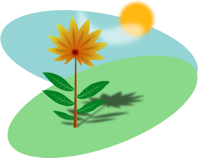 Sunlit Flower Illustration PNG with transparent background
