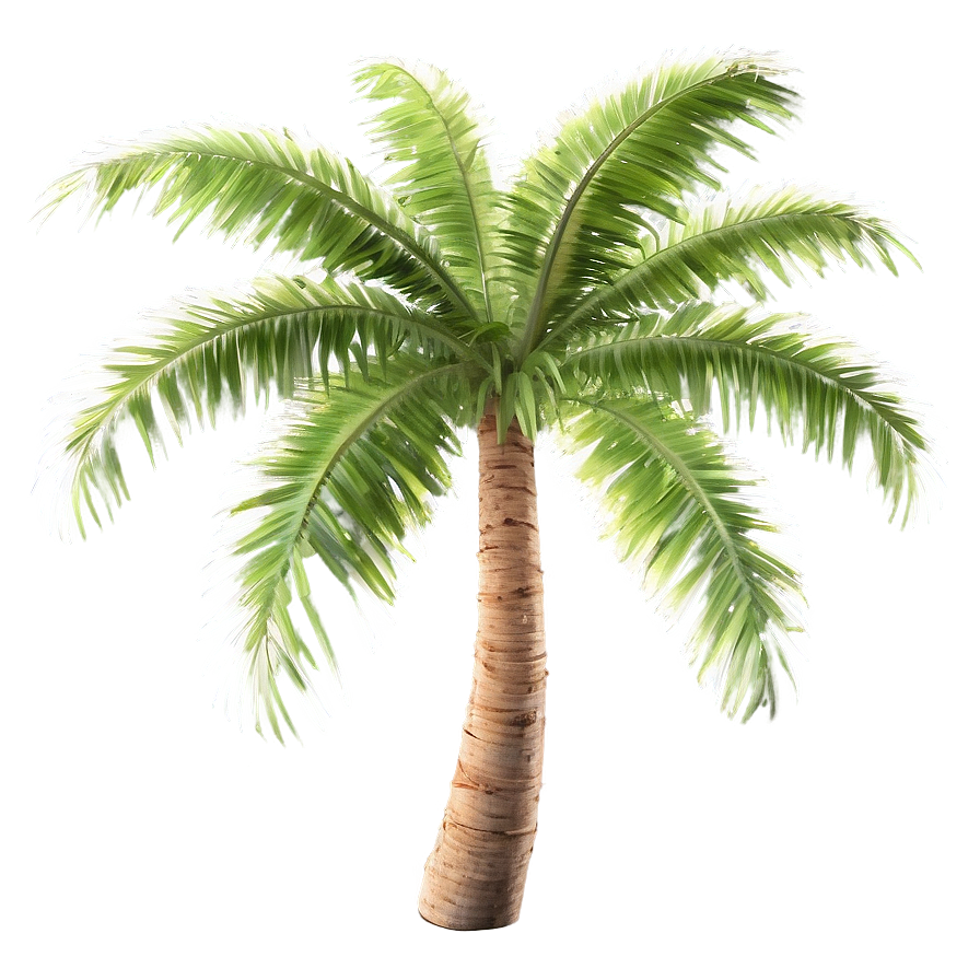 Sunlit Palm Trees Png 05042024