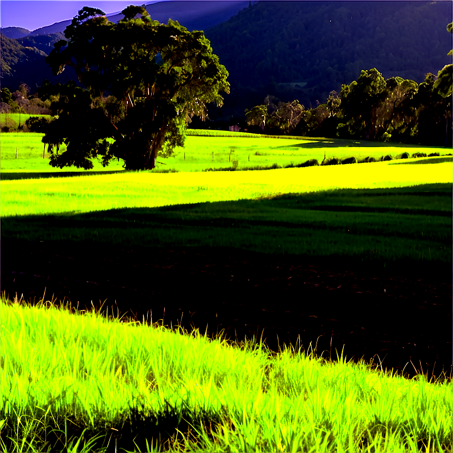 Sunny Countryside View PNG ito81 PNG image with a transparent background, free high-resolution download