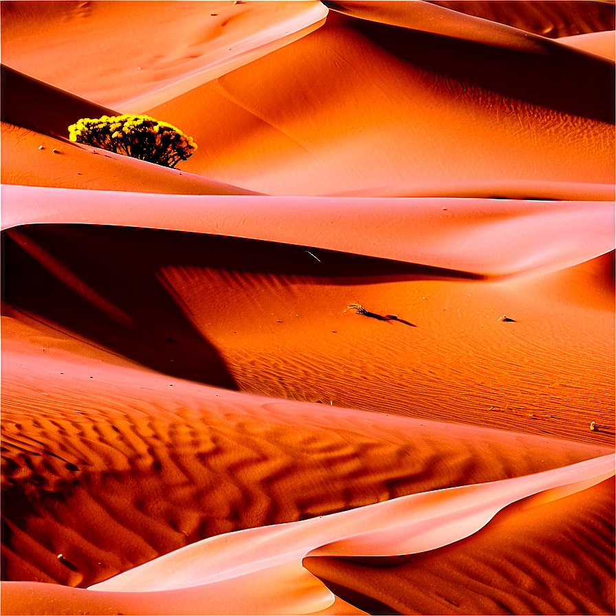 Sunny Desert Dunes PNG 30 PNG image with a transparent background, free high-resolution download