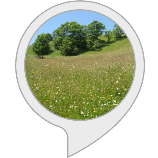 Sunny Meadow Speech Bubble