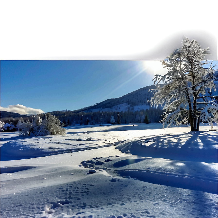 Sunny Winter Landscape PNG ljf PNG image with a transparent background, free high-resolution download