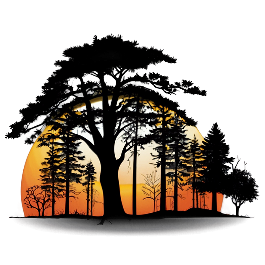 Sunrise Forest Silhouette Png Ans51