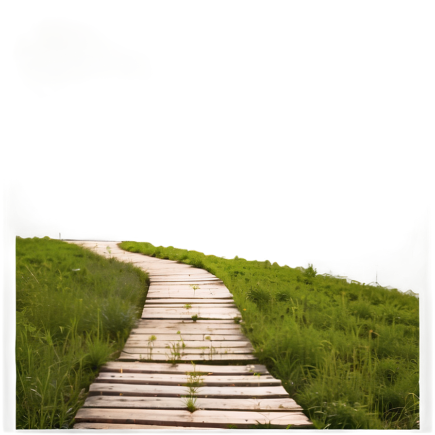 Sunrise Hiking Path PNG nsh10 PNG with transparent background