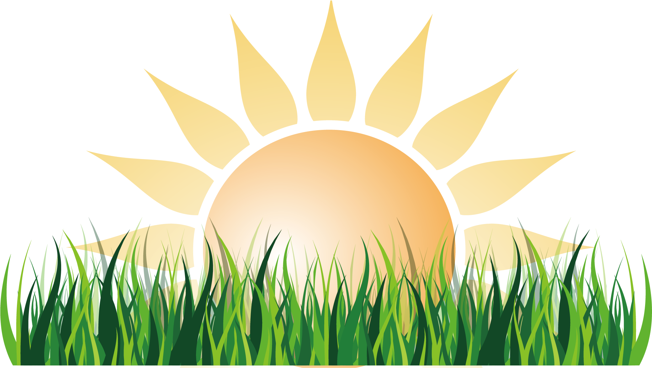 Sunrise Over Green Field PNG with transparent background
