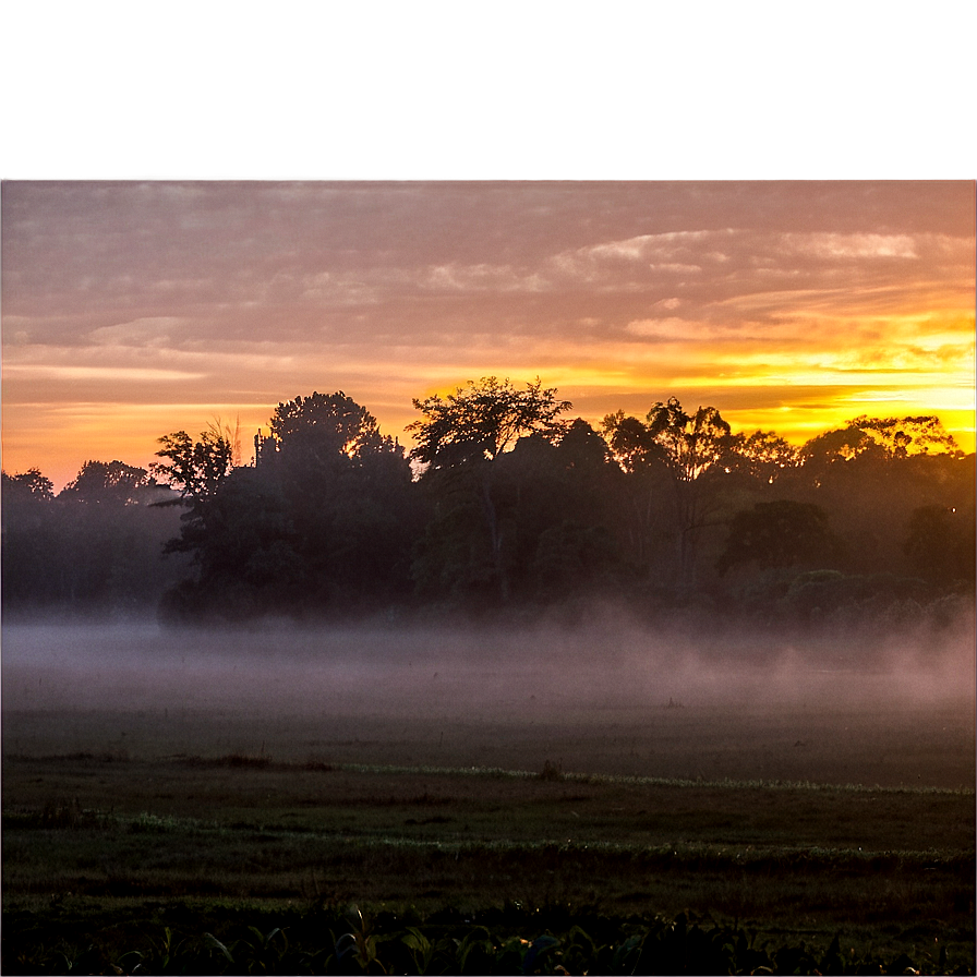 Sunset Fog Png 50