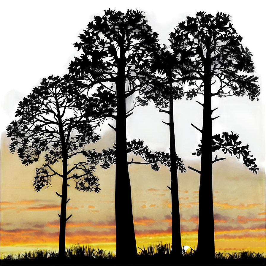 Sunset Forest Silhouette Png Afc