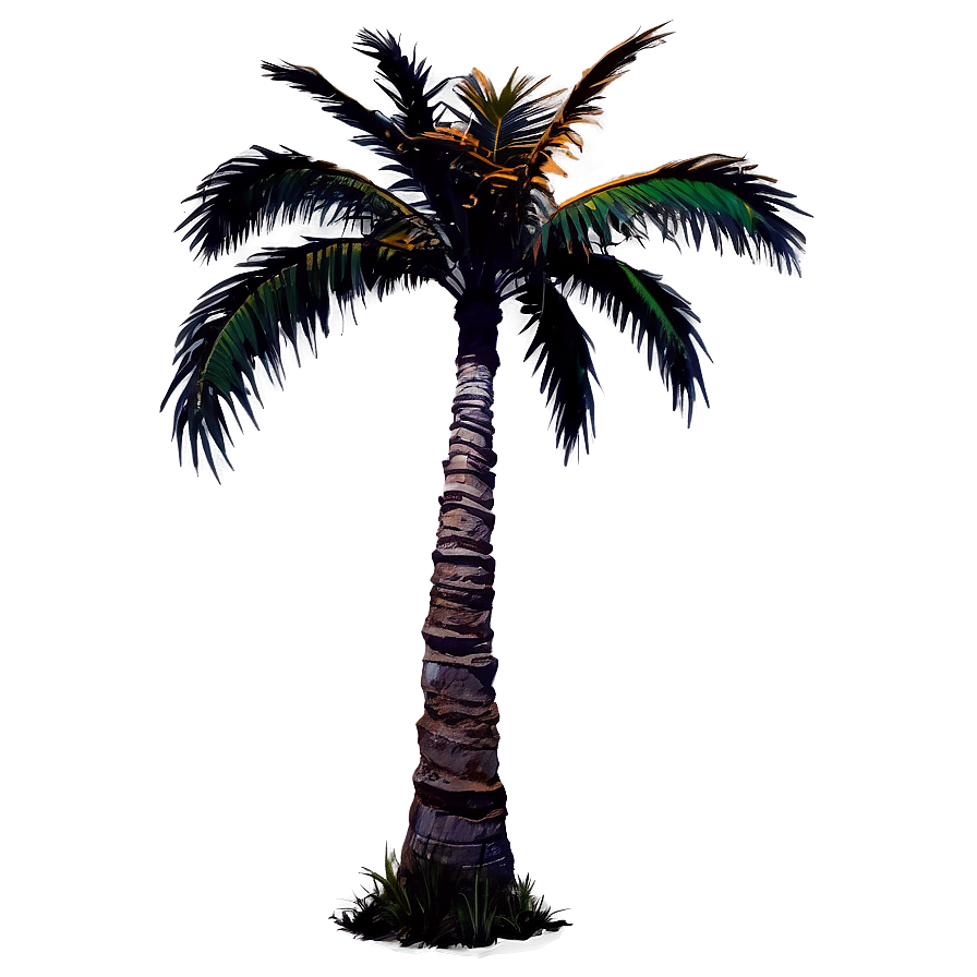 Sunset Palm Tree PNG 94 PNG with transparent background