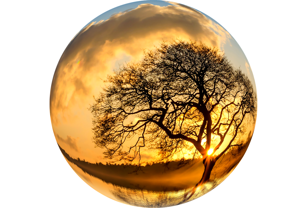 Sunset Silhouette Tree Crystal Ball