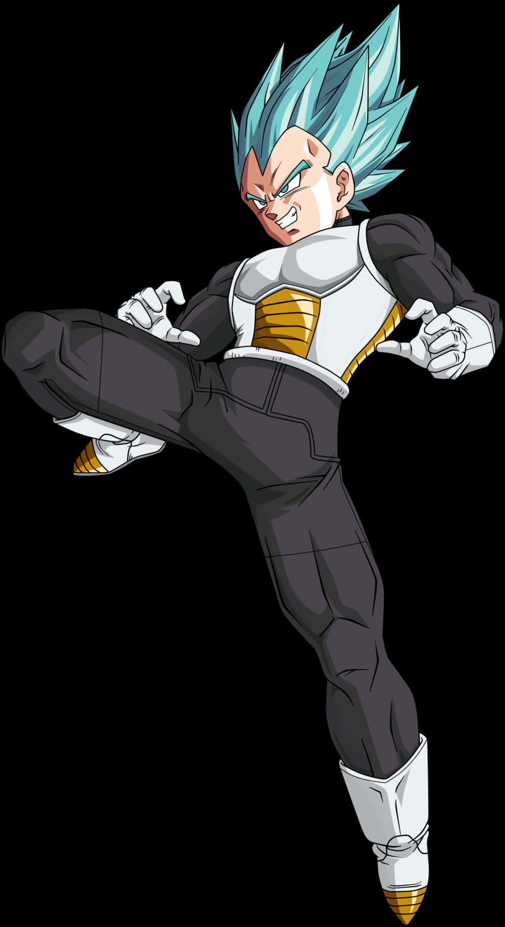 Super_ Saiyan_ Blue_ Vegeta_ Action_ Pose PNG with transparent background