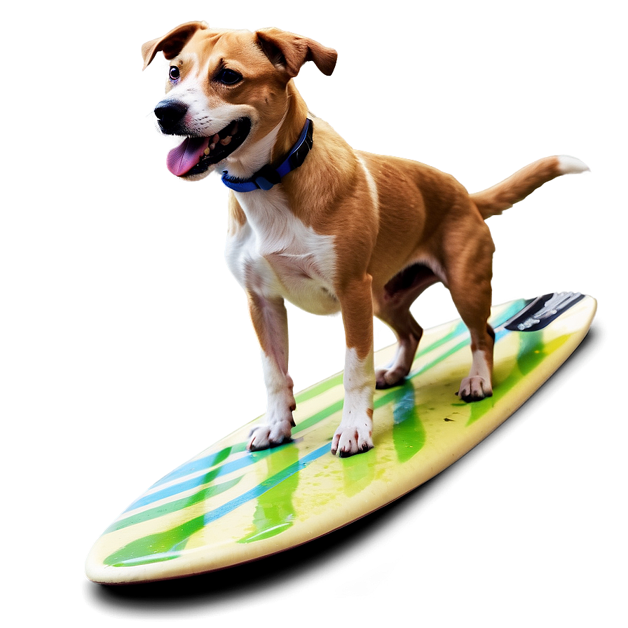 Surfing Dog PNG lcy PNG with transparent background