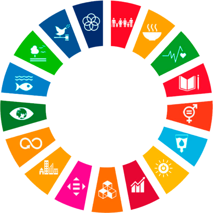 Sustainable Development Goals Icons Circle