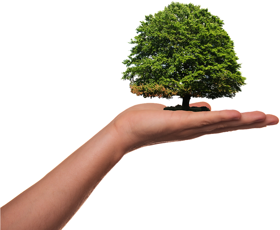 Hentikan Kriminalisasi Pejuang Lingkungan - World Environment Day 5th June 2019, HD Png Download PNG with transparent background