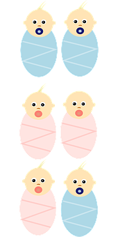 Swaddled Babies Illustration