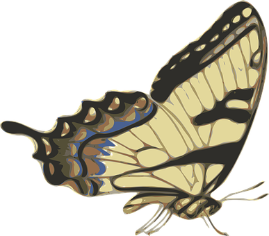 Swallowtail Butterfly Illustration PNG with transparent background