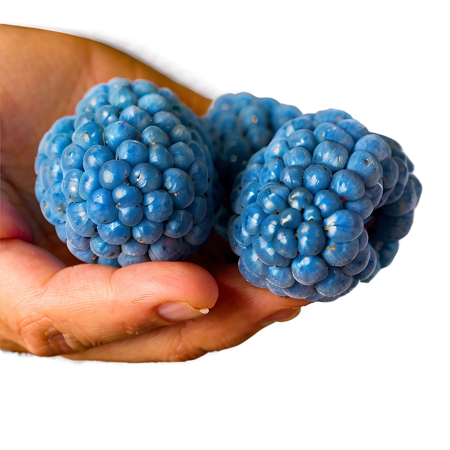 Sweet Blue Raspberry Bliss PNG 06212024 PNG image with a transparent background, free high-resolution download