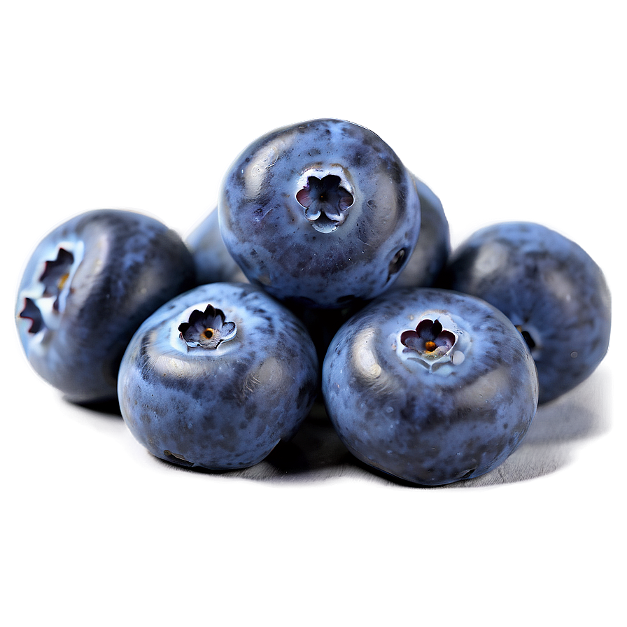 Sweet Blueberry Treat Png 05212024