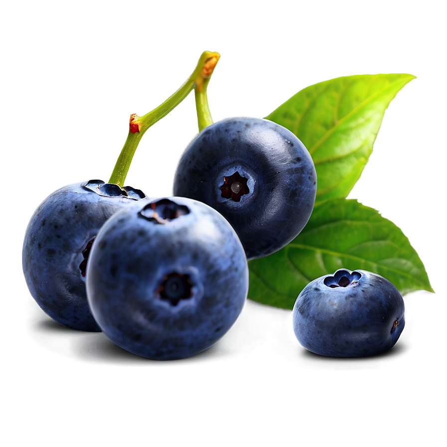 Sweet Blueberry Treat Png 46