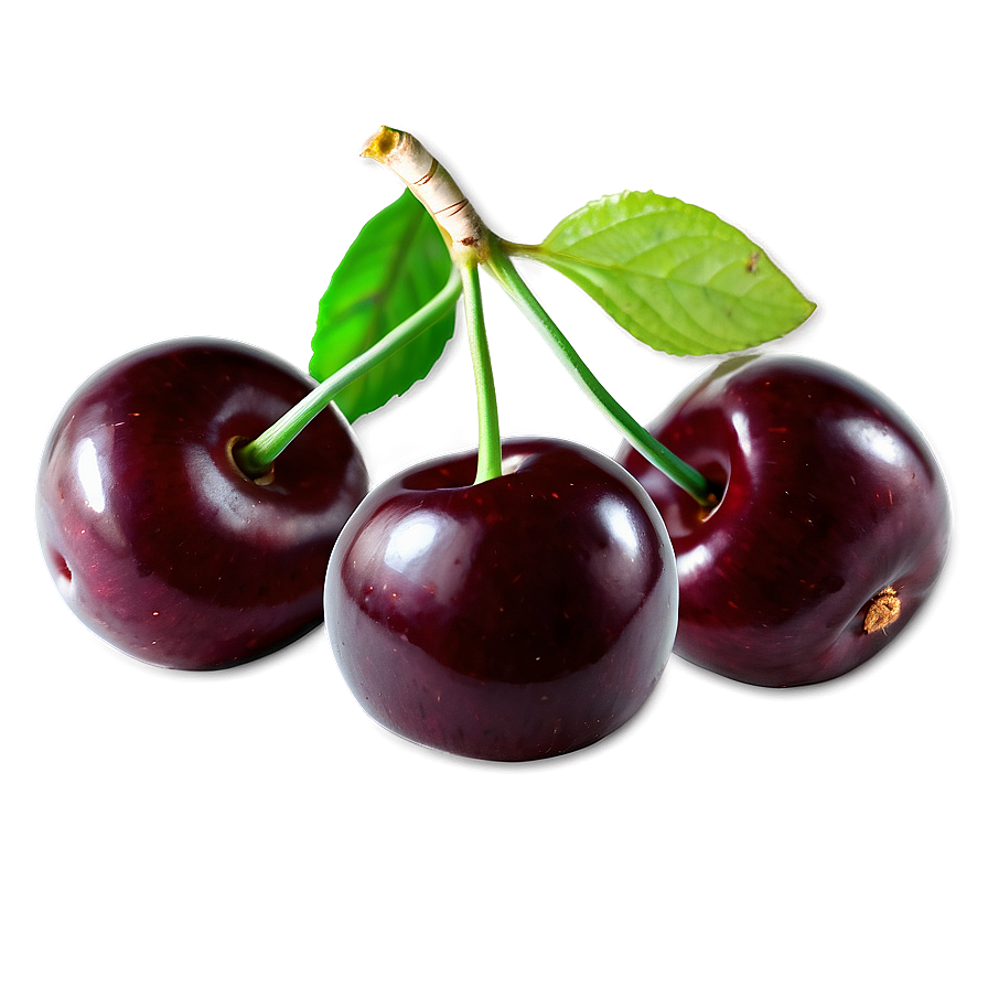 Sweet Cherry PNG rev5 PNG with transparent background