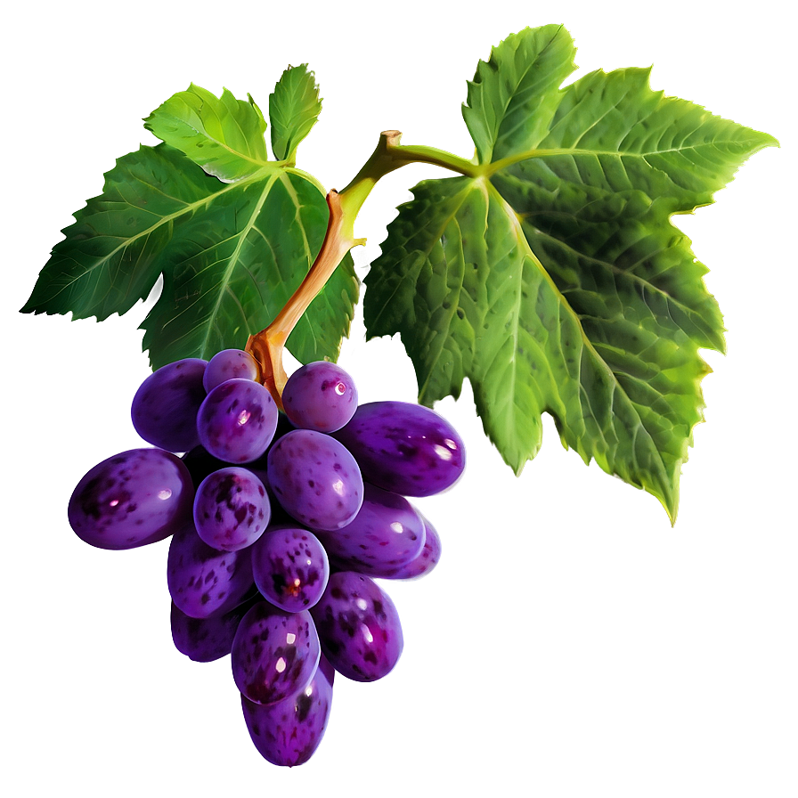 Sweet Grapes Png 49