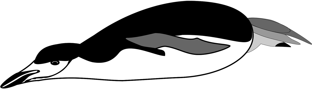 Penguin Swim Png, Transparent Png PNG with transparent background
