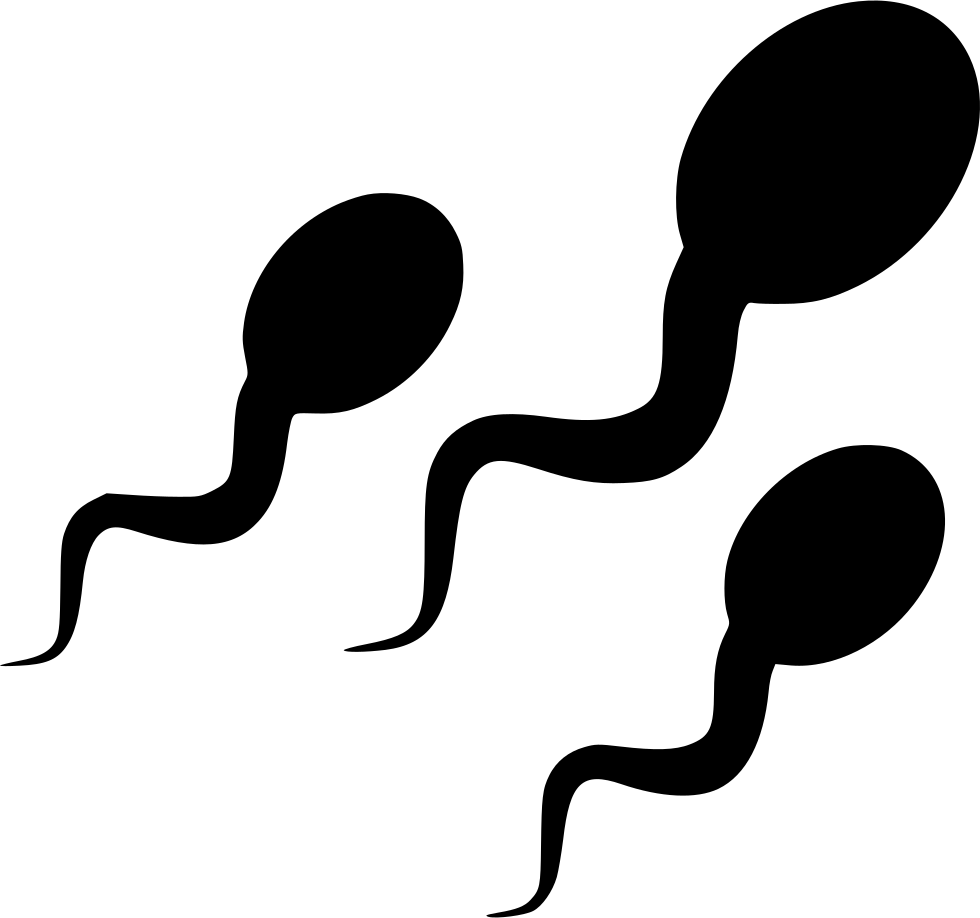 Swimming_ Sperm_ Illustration.png