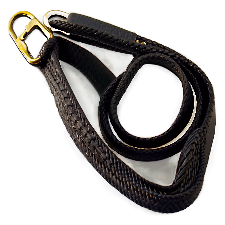 Swivel Dog Leash Png Fsq3