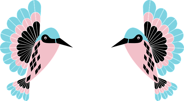Symmetrical Abstract Hummingbird Art PNG with transparent background