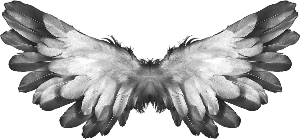 Symmetrical Angel Wings