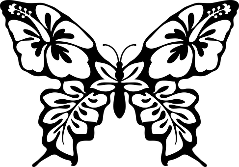 Symmetrical Butterfly Graphic Blackand White