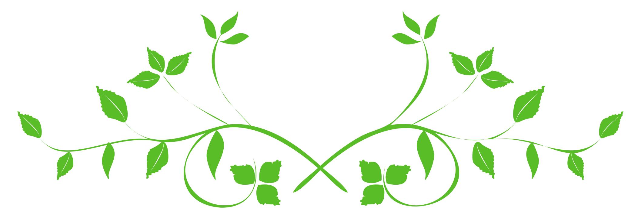 Symmetrical Green Leaves Design PNG with transparent background