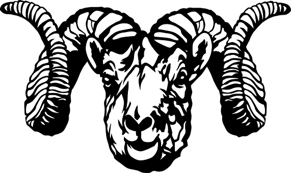 Symmetrical Ram Illustration PNG with transparent background
