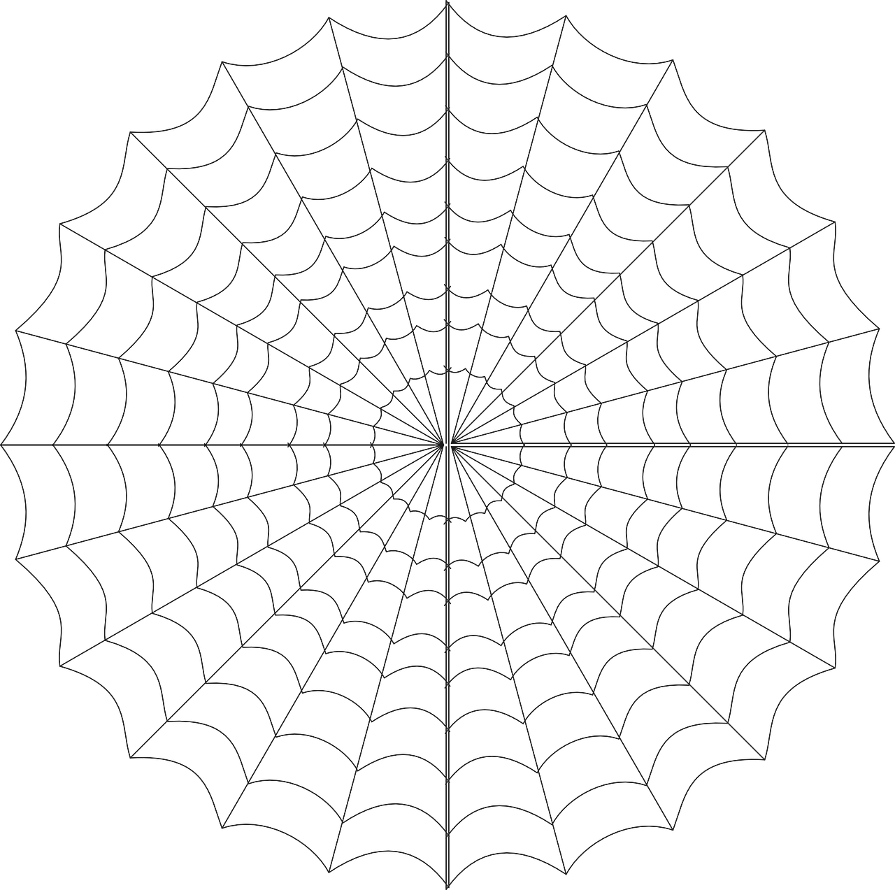 Symmetrical Spider Web Illustration