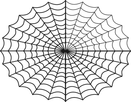 Symmetrical Spider Webon Black Background