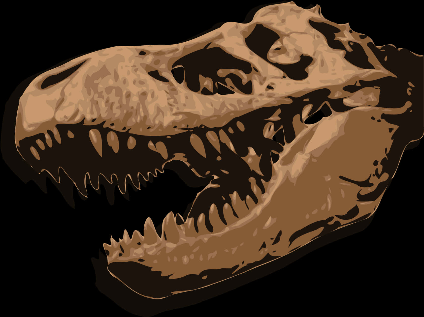 T Rex Skull Illustration