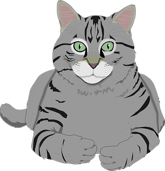 Tabby Cat Illustration