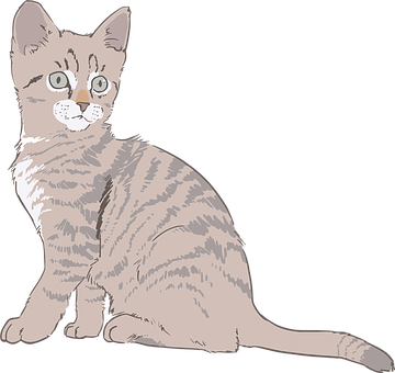 Tabby Kitten Illustration PNG with transparent background