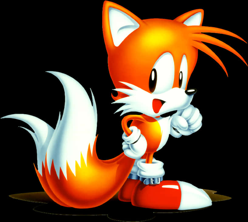 Tailsthe Fox Sonic Character