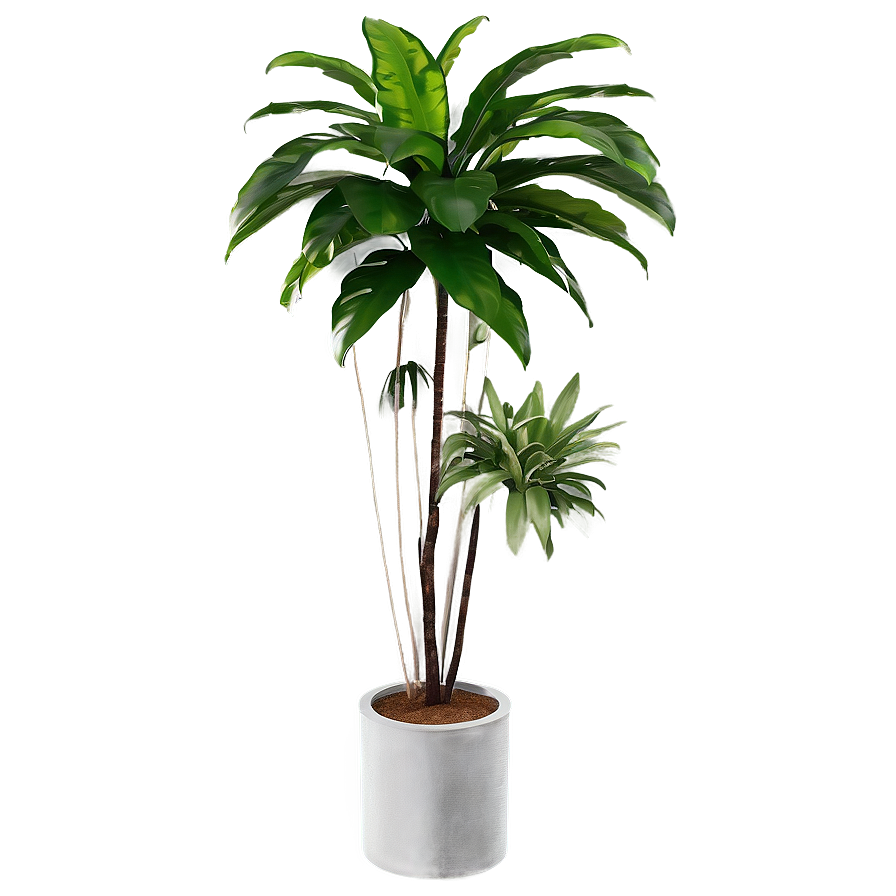 Tall Plant Corner Decor Png Key