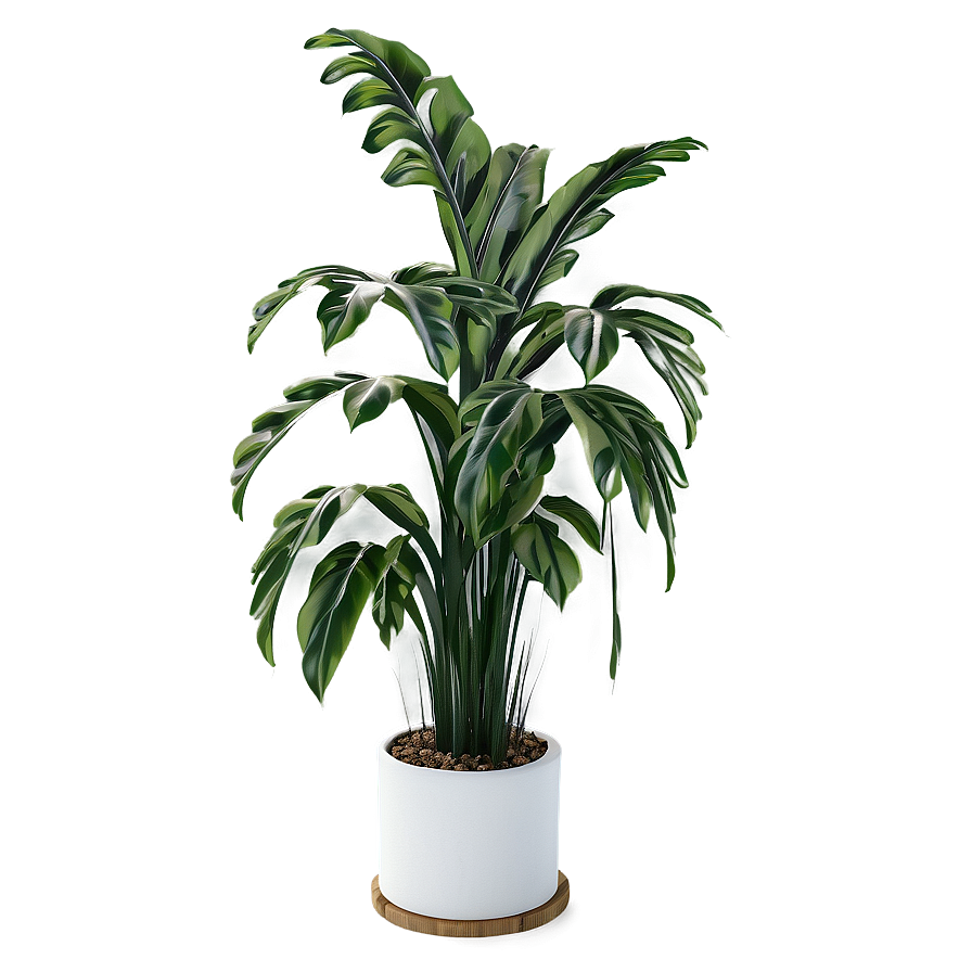 Tall Plant Corner Decor Png Mtt