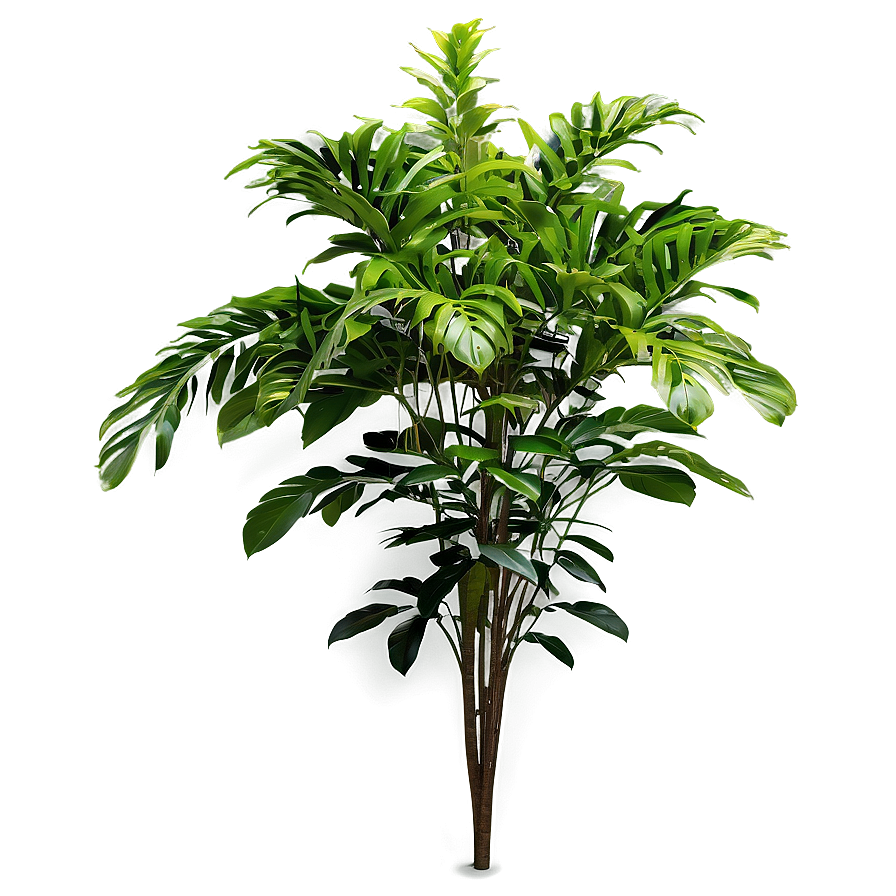 Tall Plant In Landscape Png 06282024